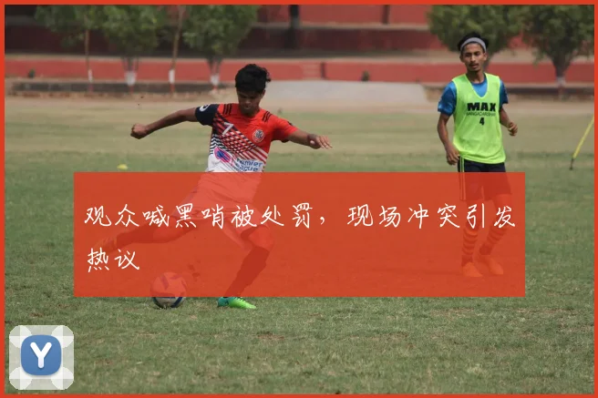 观众喊黑哨被处罚，现场冲突引发热议