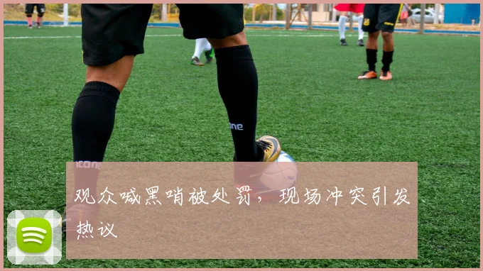 观众喊黑哨被处罚，现场冲突引发热议